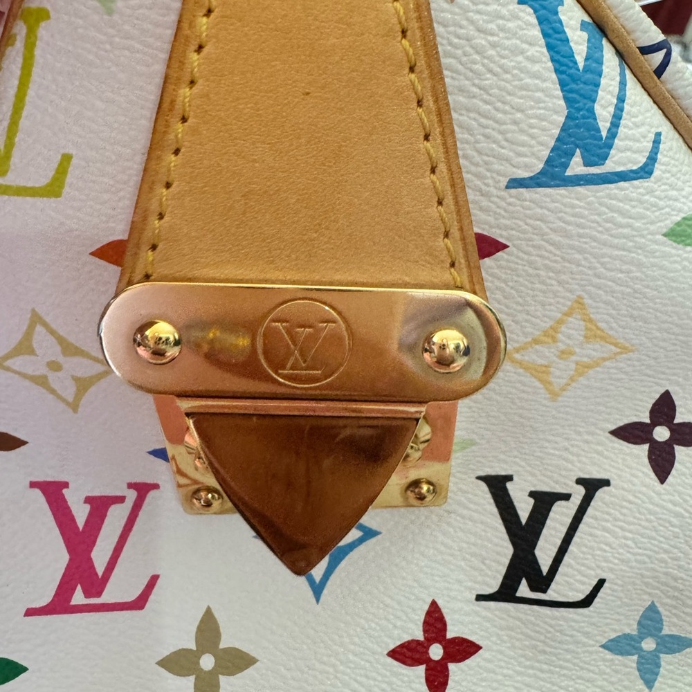 Louise Vuitton Multicolor Murakami Speedy 30
S